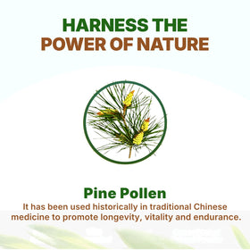 Go Nutra Pollen de Pin en Poudre 181g utilisation dans un smoothie
