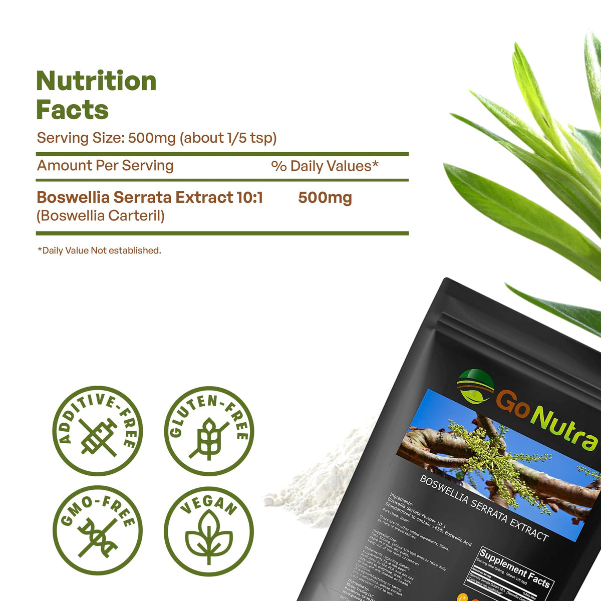 Go Nutra Poudre d'Extrait de Boswellia Serrata 240g avec cuillère