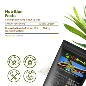 Go Nutra Poudre d'Extrait de Boswellia Serrata 240g avec cuillère