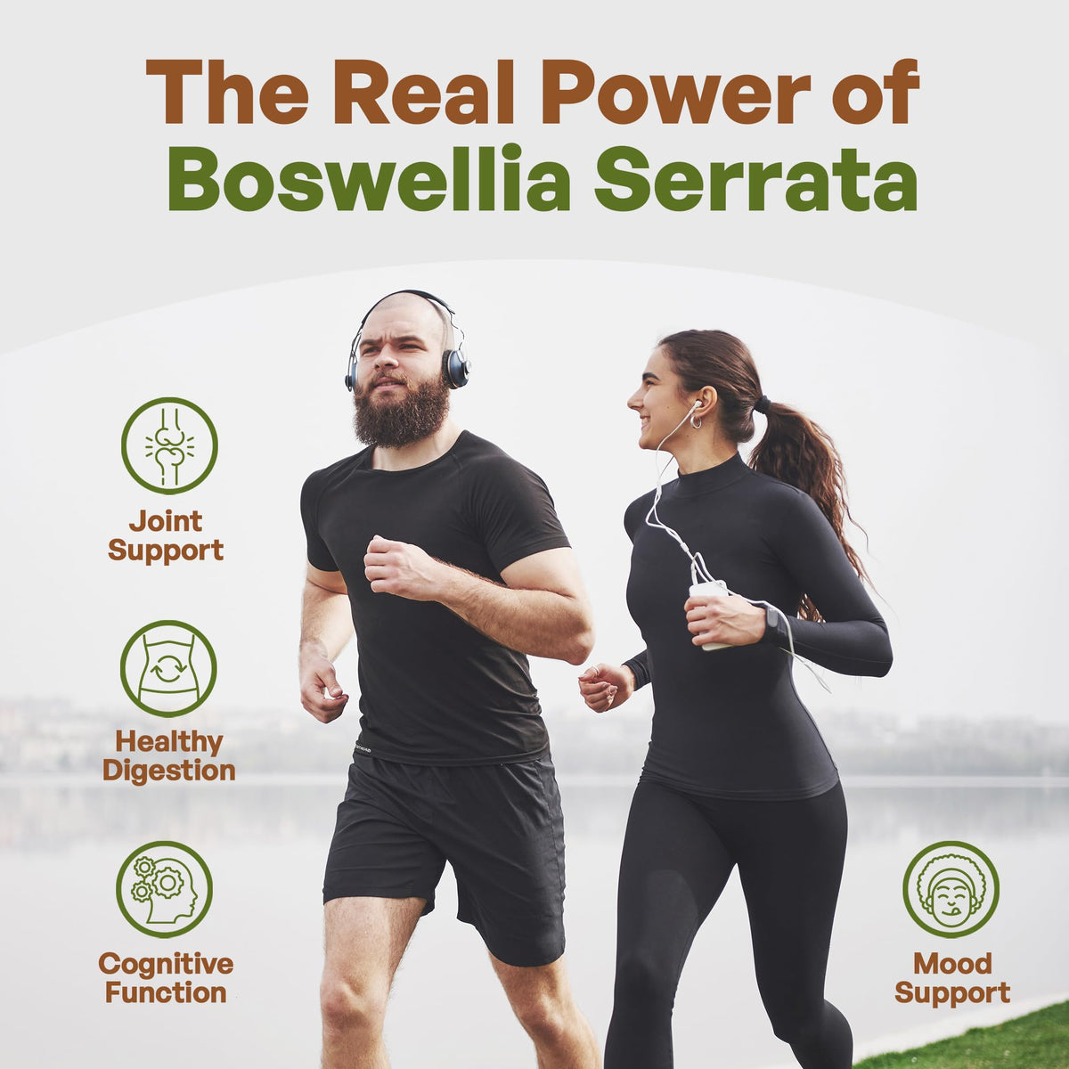 Go Nutra Poudre d'Extrait de Boswellia Serrata 240g en utilisation