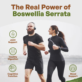 Go Nutra Poudre d'Extrait de Boswellia Serrata 240g en utilisation