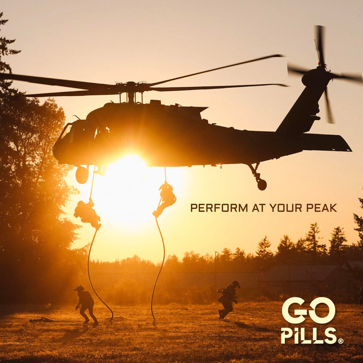 GO PILLS Complément Alimentaire Performance Mentale 1425mg, emballage