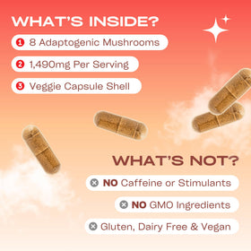 GOBIOTIX Complément Alimentaire Champignon Complexe 90 Capsules emballage