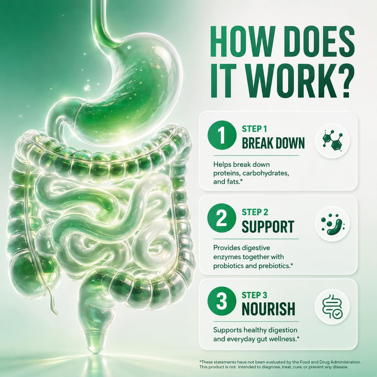 GOBIOTIX Complément Alimentaire Enzymes daily - ingrédients listés sur l'emballage
