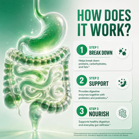 GOBIOTIX Complément Alimentaire Enzymes daily - ingrédients listés sur l'emballage