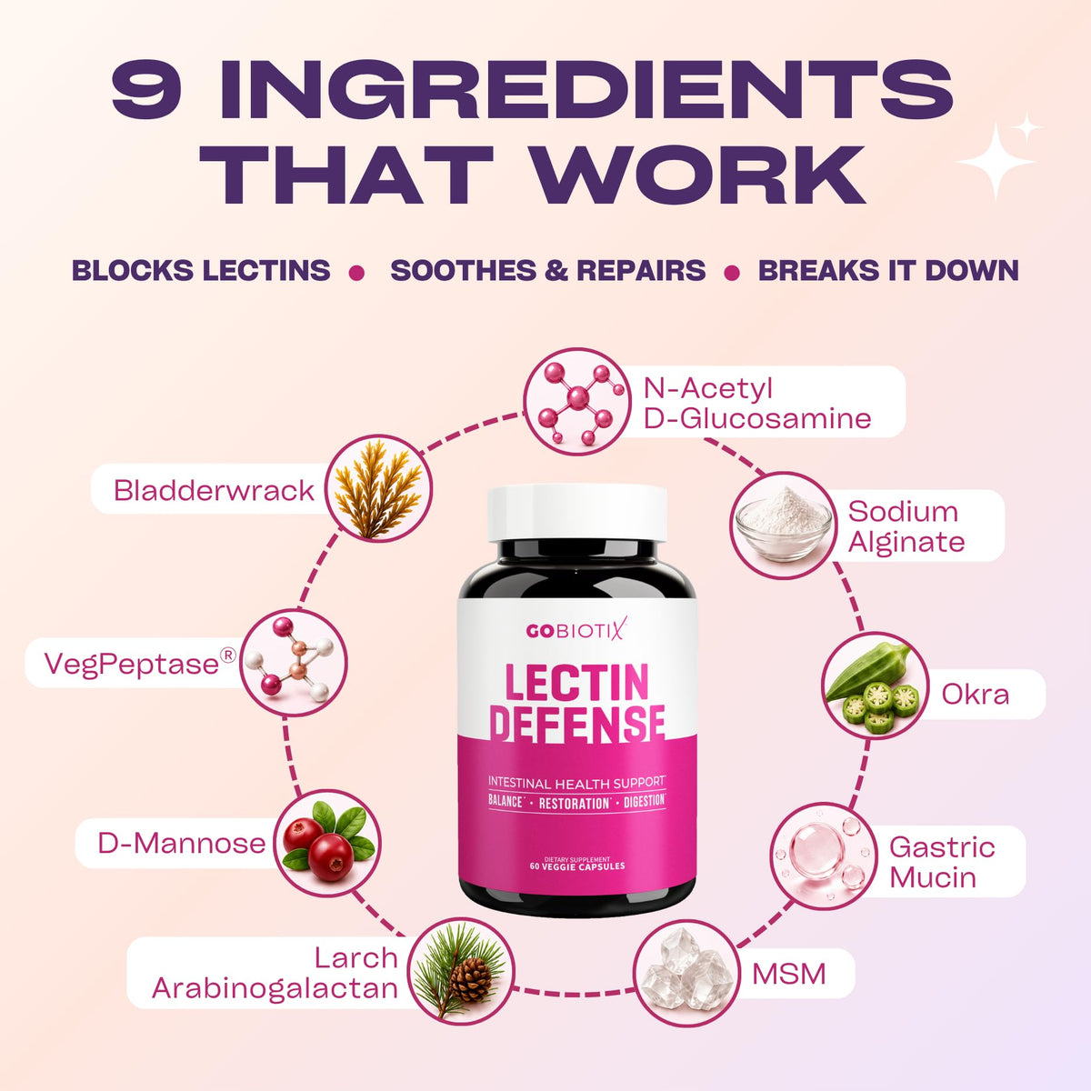 GOBIOTIX Lectin Defense capsules à côté d'un verre d'eau