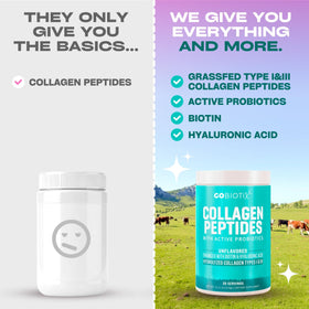 GOBIOTIX Poudre de Collagène Hydrolysé 410g avec des fruits