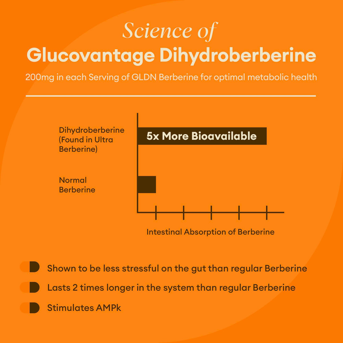 GoldenRoot Dihydroberbérine 200mg capsules ouvertes montrant leur contenu