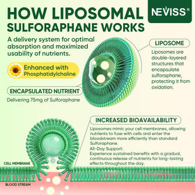Gommes au sulforaphane NEVISS sur fond blanc