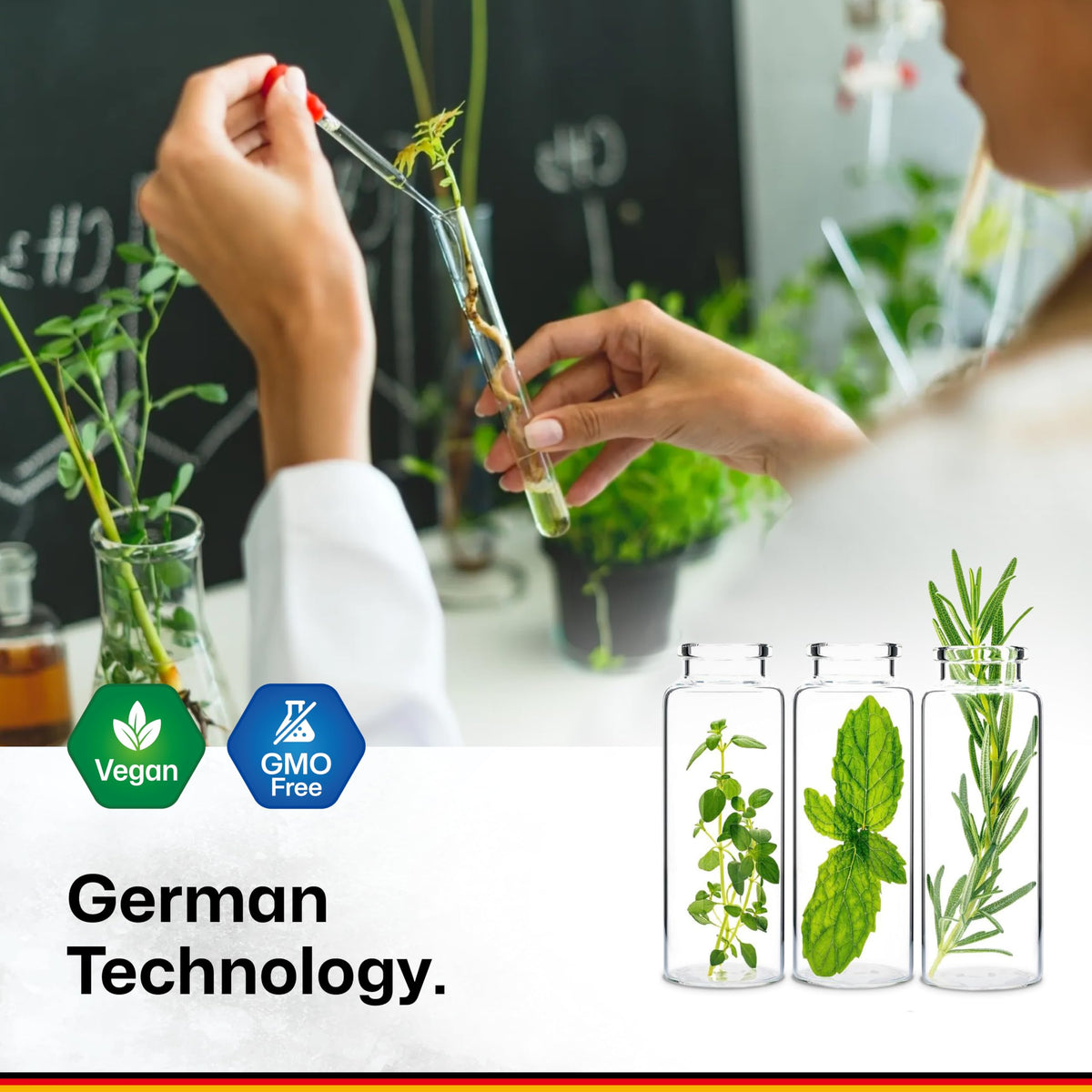 Gommes BIO KRAUTER, présentation et packaging