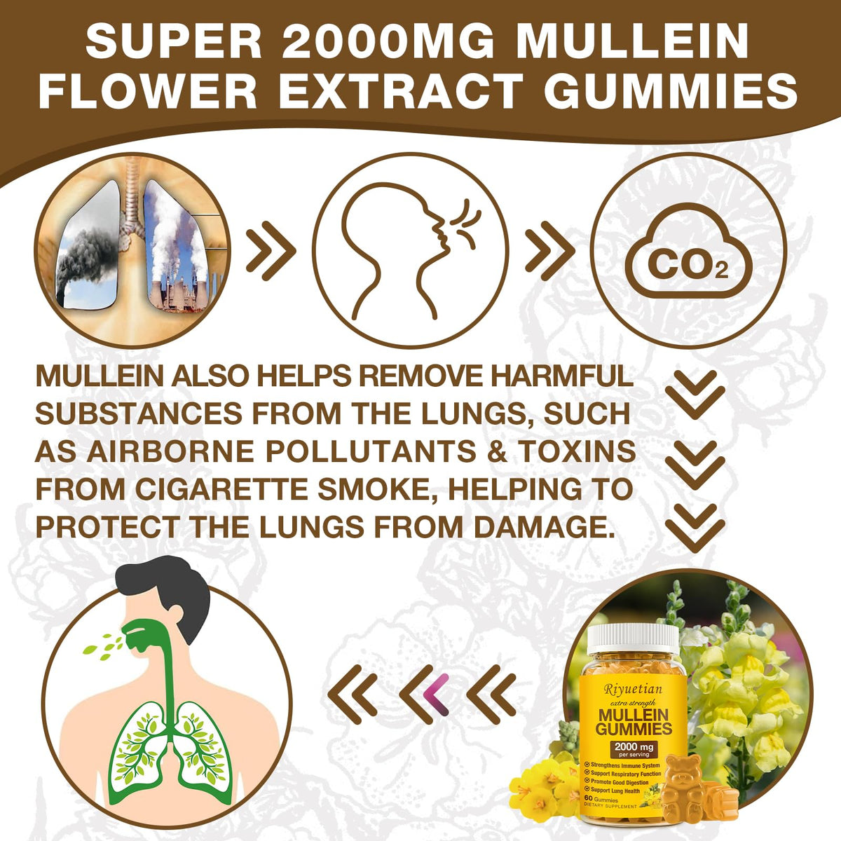 Gommes de Mullein Riyuetian ouvertes avec quelques gommes visibles
