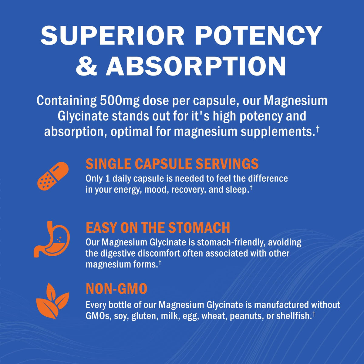 GOODBIO Magnésium Glycinate 500mg sur une table