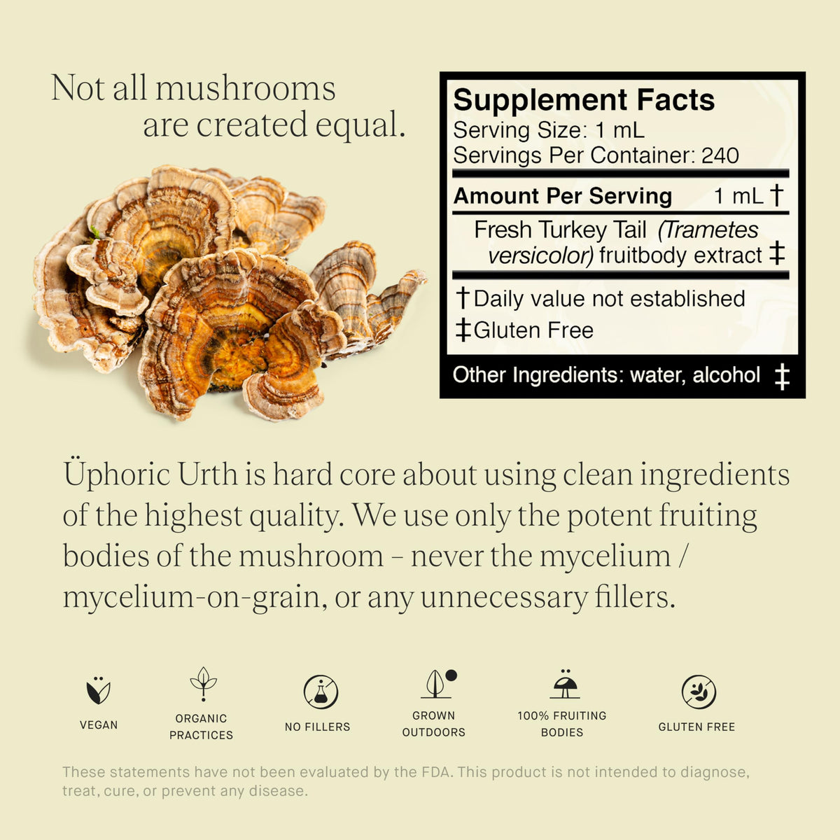 Goutte d'extrait de champignon Turkey Tail dans une tasse de thé