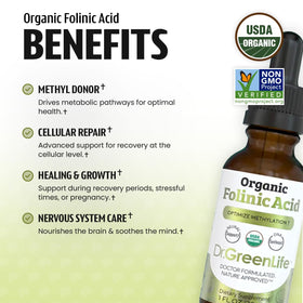 Goutte de Folate Folinique Dr. Green Mom dans une cuillère