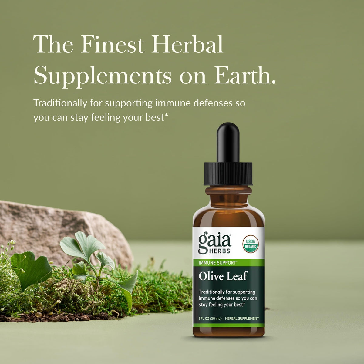 Goutte de l'extrait de feuille d'olive Gaia Herbs