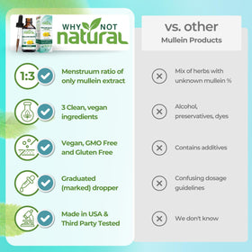 Goutte de Mullein Bio Why Not Natural avec pipette