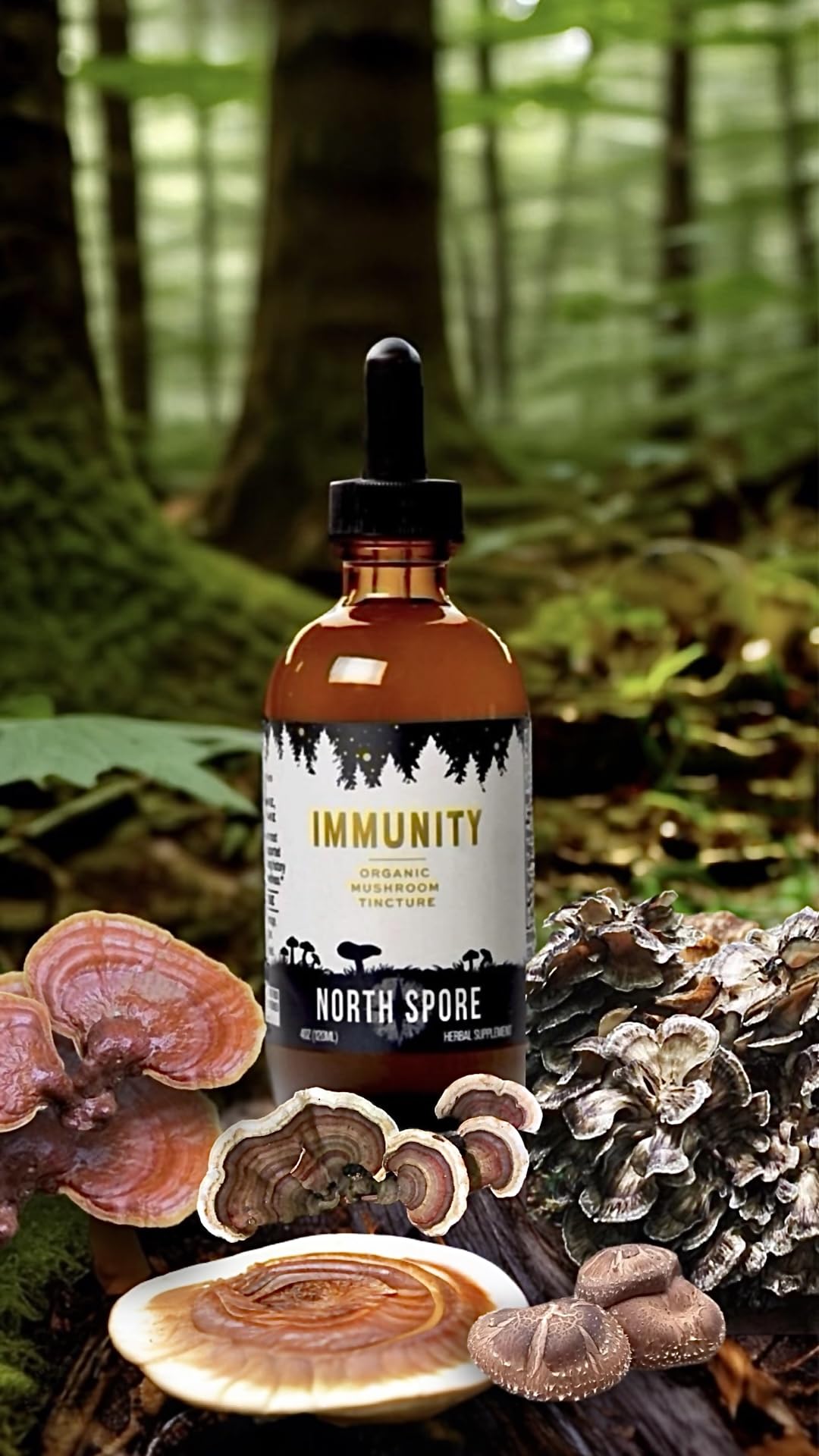 Goutte de teinture de champignons North Spore dans une cuillère