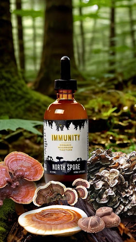 Goutte de teinture de champignons North Spore dans une cuillère