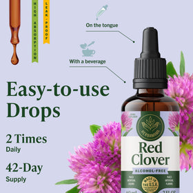 Goutte de teinture de trèfle rouge sur une cuillère