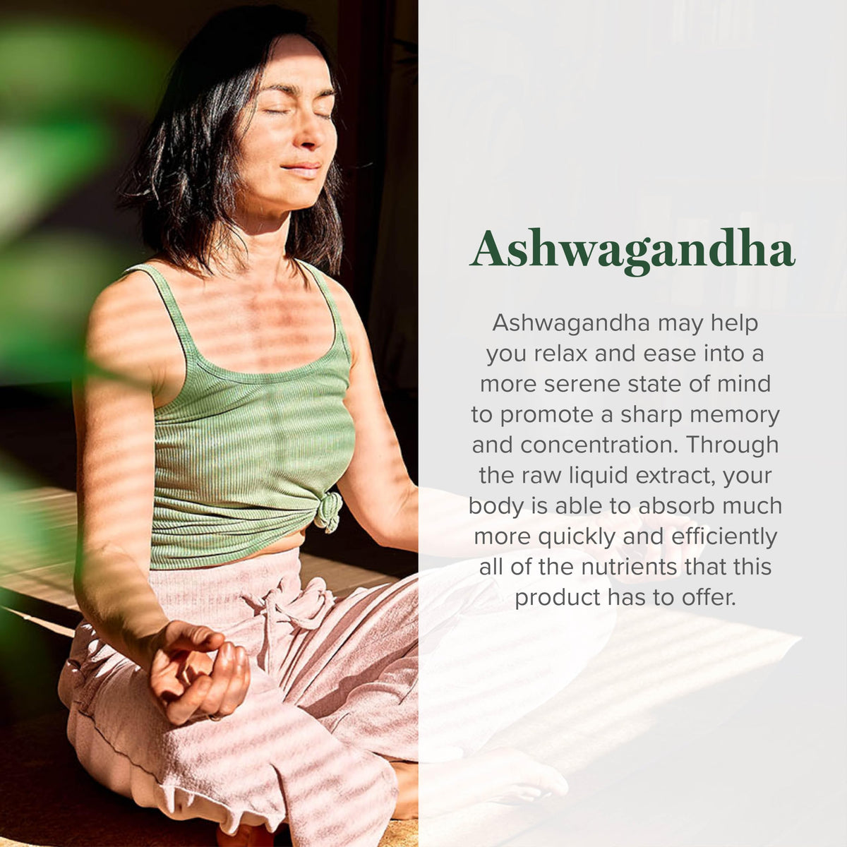 Gouttes d'Ashwagandha Bio KSM-66 Global Healing Center, prise en main