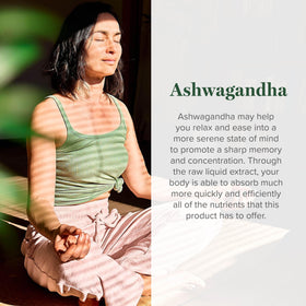 Gouttes d'Ashwagandha Bio KSM-66 Global Healing Center, prise en main