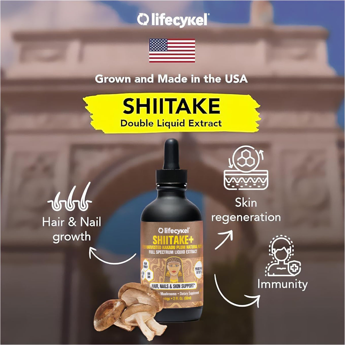 Gouttes d'extrait de champignon shiitake dans une cuillère