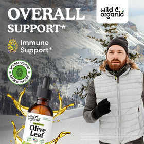 Gouttes d'extrait de feuille d'olivier Wild & Organic sur une cuillère