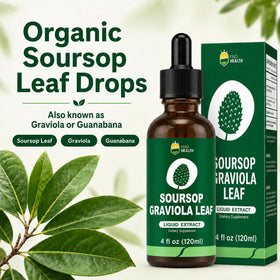 Gouttes d'extrait de feuille de graviola bio KingHealth avec compte-gouttes