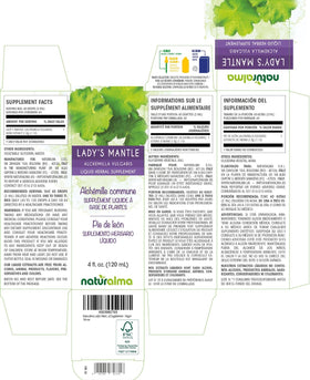 Gouttes d'extrait de foulque Naturalma sur une cuillère en bois