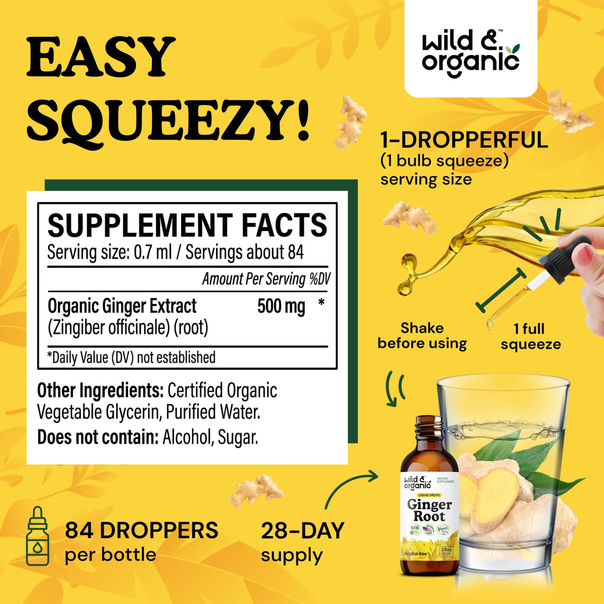 Gouttes d'extrait de gingembre Wild & Organic sur une cuillère