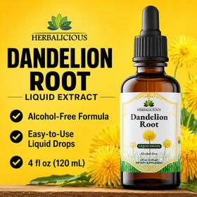 Gouttes d'extrait de racine de pissenlit HERBALICIOUS sur une cuillère