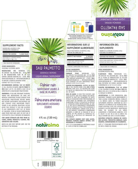 Gouttes d'extrait de Saw Palmetto dans une cuillère