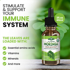 Gouttes d'extrait liquide de Moringa dans une cuillère