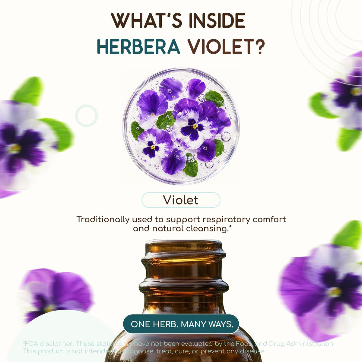 Gouttes d'extrait liquide violet HerbEra dans un verre d'eau