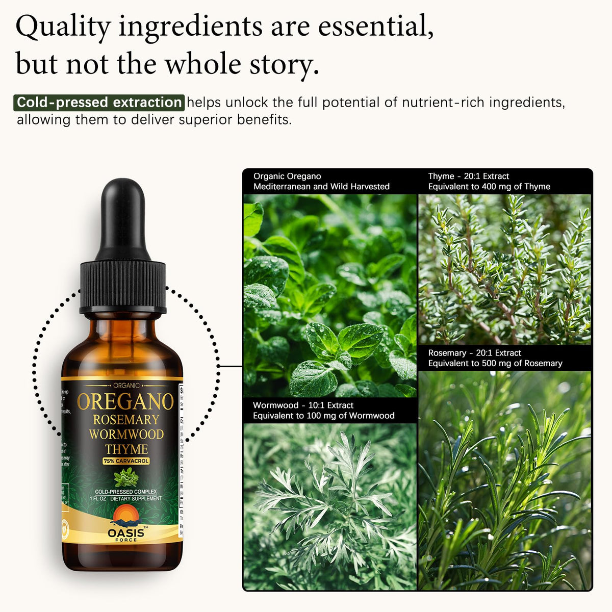 Gouttes d'huile d'origan bio OASIS FORCE sur une cuillère