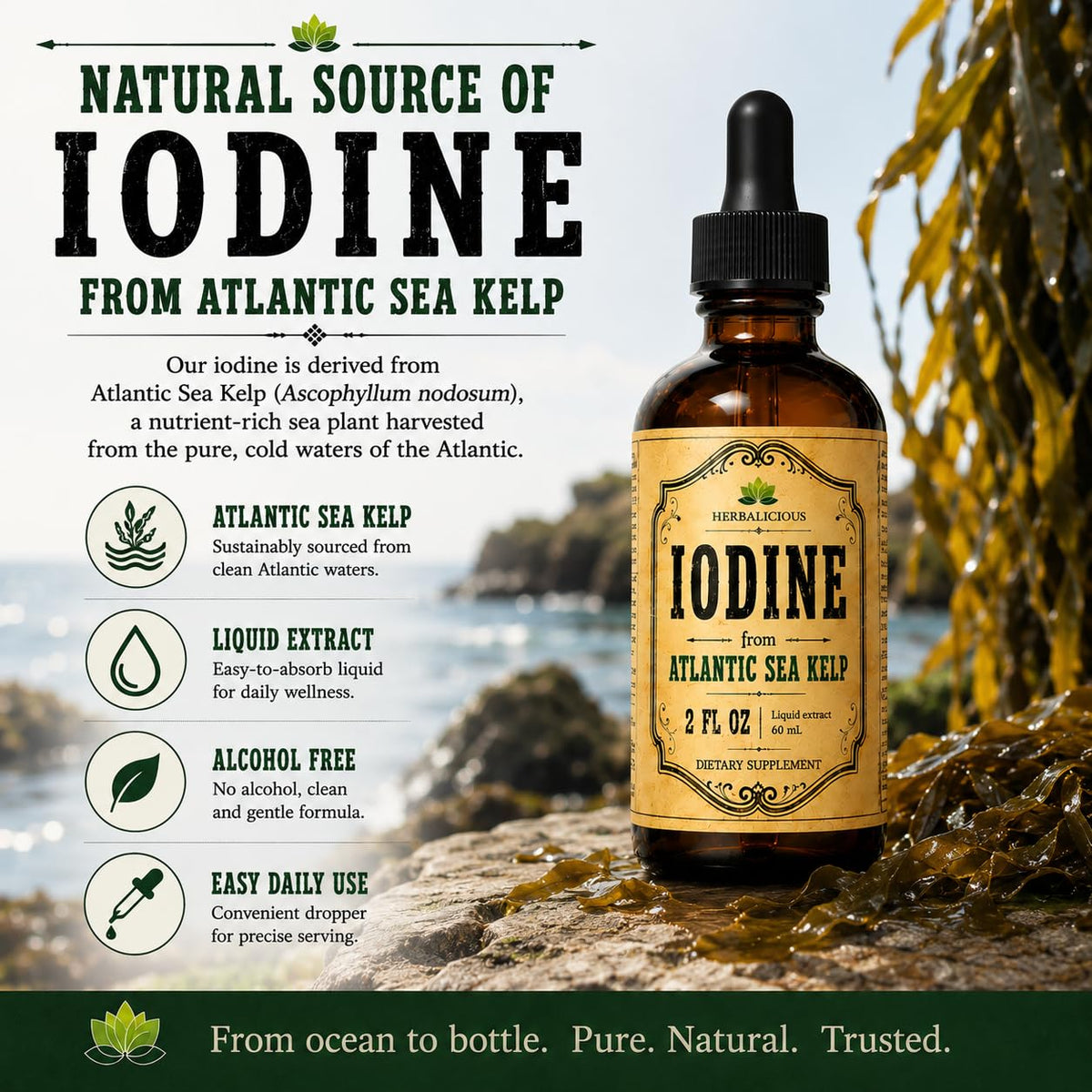 Gouttes d'Iode HERBALICIOUS 60 ml en utilisation dans un verre d'eau