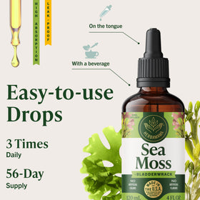 Gouttes d'Irish Sea Moss HERBAMAMA avec ingrédients en arrière-plan