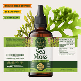 Gouttes d'Irish Sea Moss HERBAMAMA sur une surface en bois