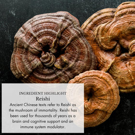 Gouttes de Champignons dans un environnement naturel