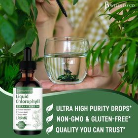 Gouttes de chlorophylle liquide JB Wellness Co en usage