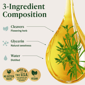 Gouttes de Cleavers HERBAMAMA avec un verre d'eau