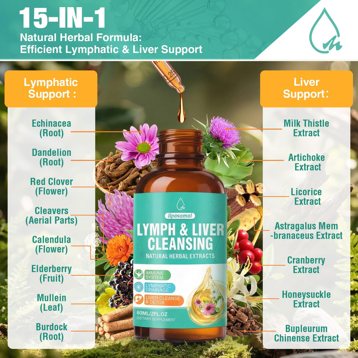 Gouttes de drainage lymphatique MaxHemp 23 en 1, étiquette et détails du produit