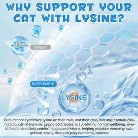 Gouttes de L-Lysine pour Chats dans une gamelle
