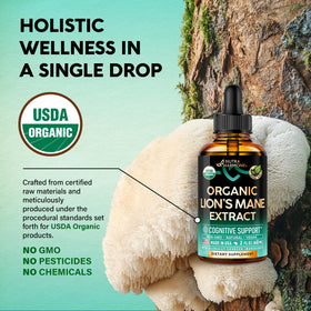Gouttes de Lion’s Mane de NUTRAHARMONY sur une cuillère
