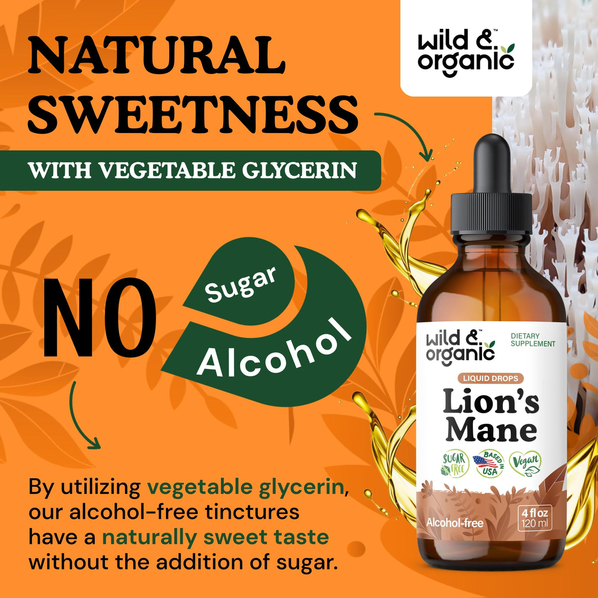 Gouttes de Lion's Mane Wild & Organic en usage quotidien
