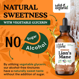 Gouttes de Lion's Mane Wild & Organic en usage quotidien