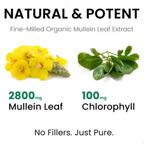 Gouttes de molène Nutrapure avec pipette