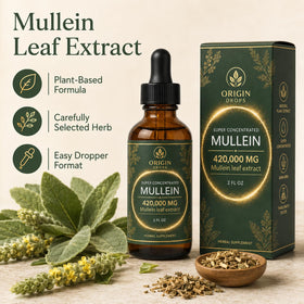 Gouttes de Mullein avec compte-gouttes en main sur fond naturel