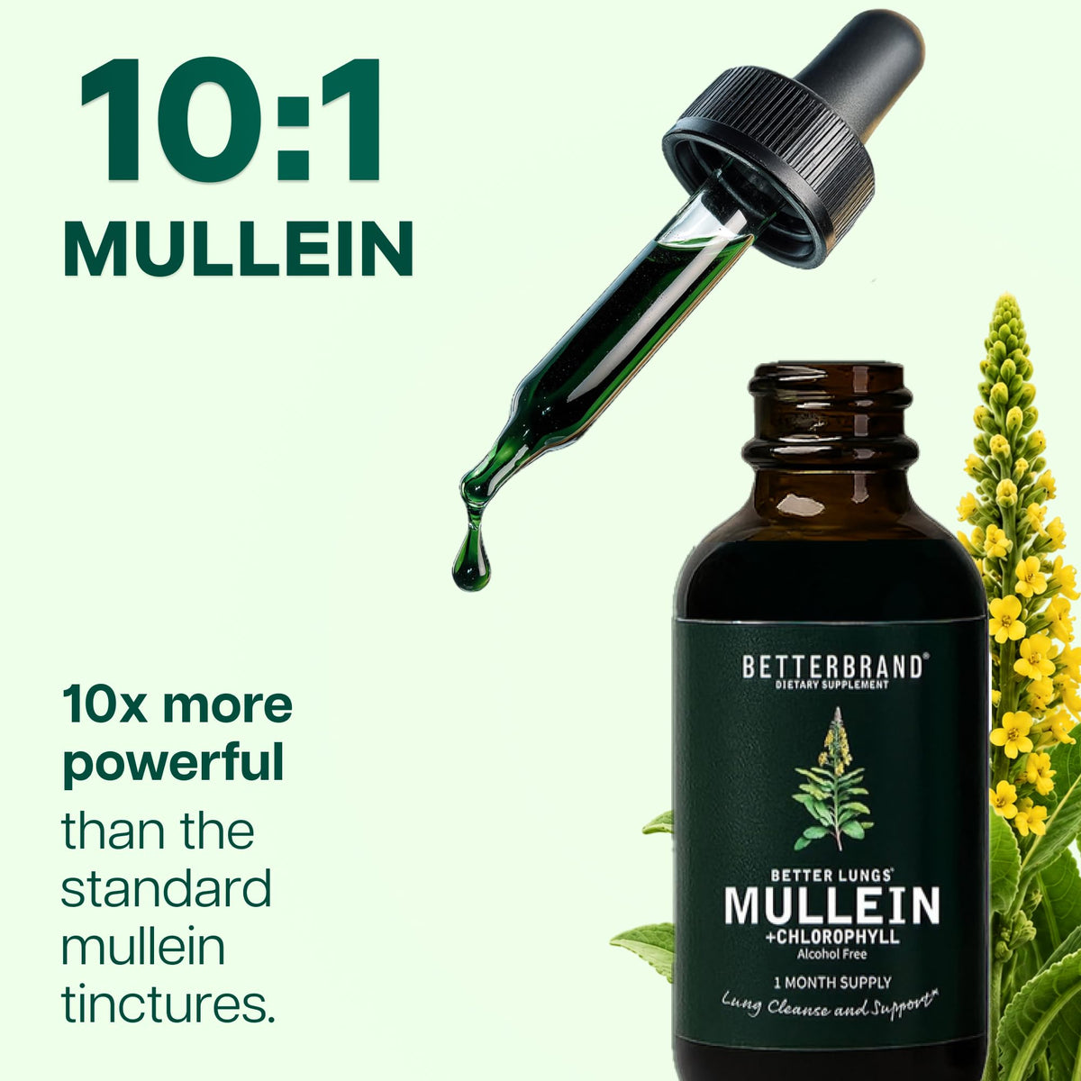 Gouttes de Mullein Betterbrand 431g avec compte-gouttes