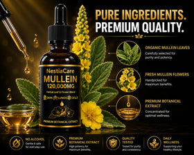 Gouttes de Mullein de NestiaCare montrant la pipette
